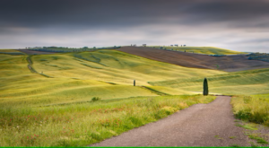 Paesaggio, ambiente